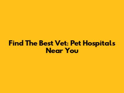 Find The Best Vet: Pet Hospitals Near You