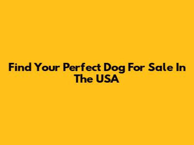Find Your Perfect Dog For Sale In The USA
