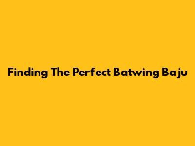 Finding The Perfect Batwing Baju