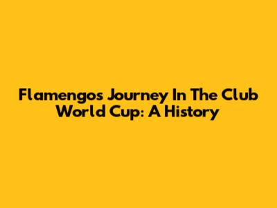 Flamengo's Journey In The Club World Cup: A History