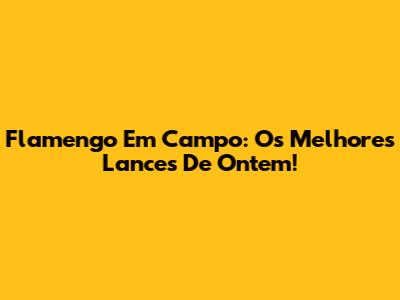 Flamengo Em Campo: Os Melhores Lances De Ontem!
