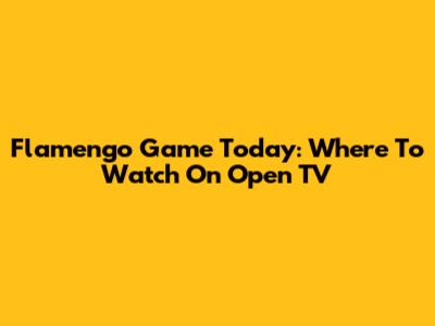 Flamengo Game Today: Where To Watch On Open TV