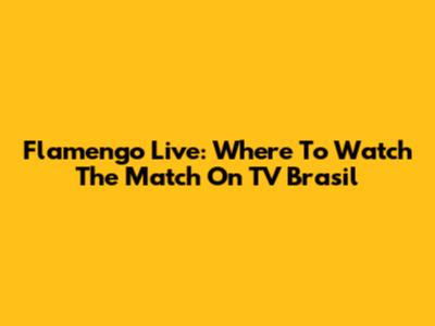 Flamengo Live: Where To Watch The Match On TV Brasil