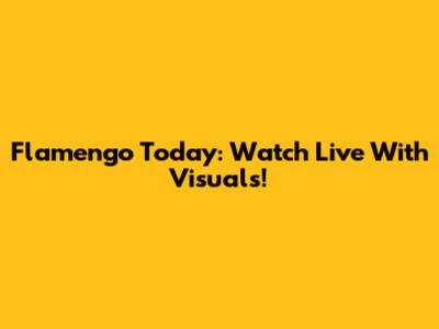 Flamengo Today: Watch Live With Visuals!