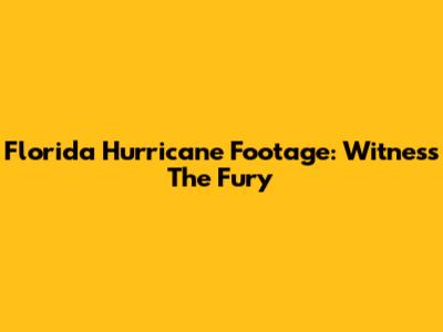 Florida Hurricane Footage: Witness The Fury