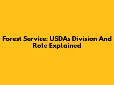 Forest Service: USDA's Division And Role Explained