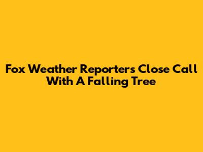 Fox Weather Reporter's Close Call With A Falling Tree