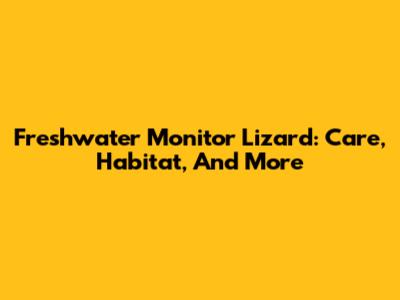 Freshwater Monitor Lizard: Care, Habitat, And More
