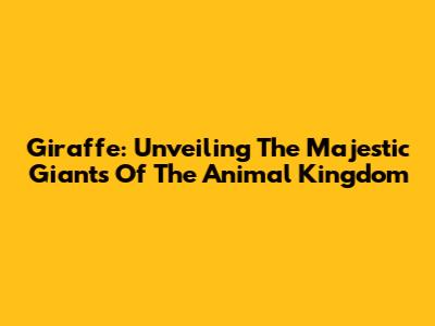 Giraffe: Unveiling The Majestic Giants Of The Animal Kingdom