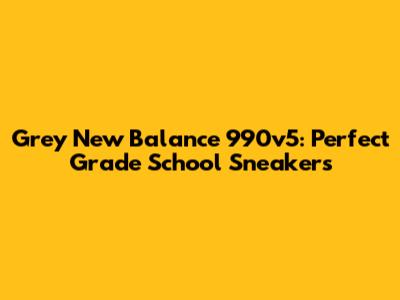 Grey New Balance 990v5: Perfect Grade School Sneakers