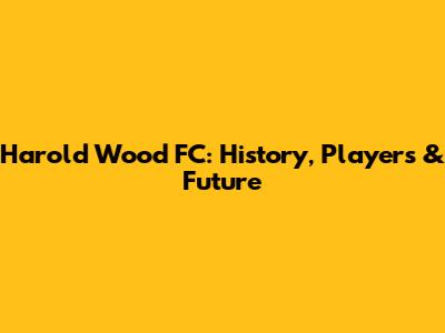Harold Wood FC: History, Players & Future