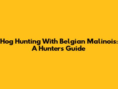 Hog Hunting With Belgian Malinois: A Hunter's Guide