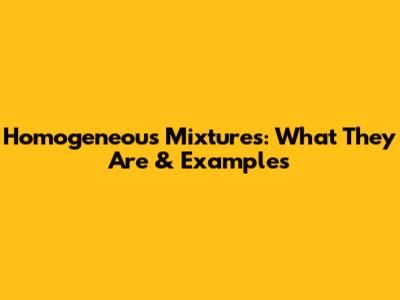 Homogeneous Mixtures: What They Are & Examples