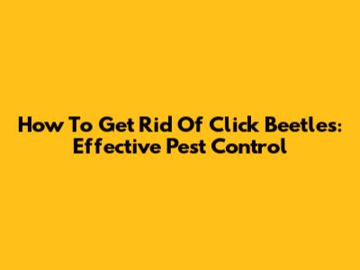 How To Get Rid Of Click Beetles: Effective Pest Control