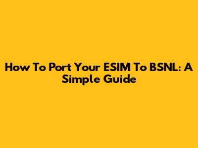 How To Port Your ESIM To BSNL: A Simple Guide