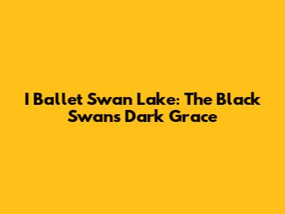 I Ballet Swan Lake: The Black Swan's Dark Grace
