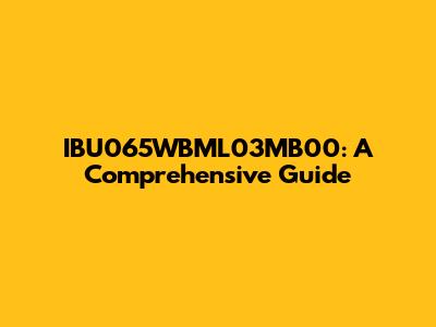 IBU065WBML03MB00: A Comprehensive Guide