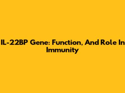 IL-22BP Gene: Function, And Role In Immunity