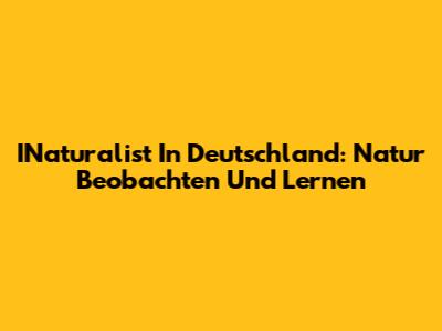 INaturalist In Deutschland: Natur Beobachten Und Lernen