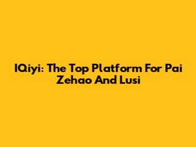 IQiyi: The Top Platform For 'Pai Zehao' And 'Lusi'