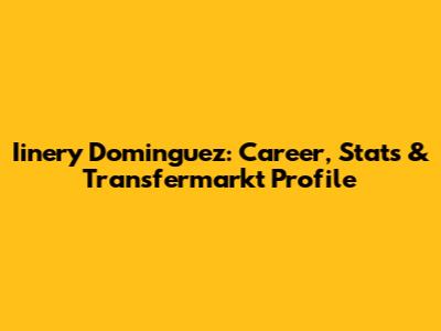 Iinery Dominguez: Career, Stats & Transfermarkt Profile