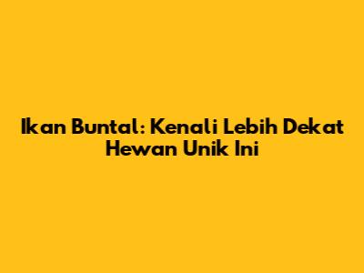 Ikan Buntal: Kenali Lebih Dekat Hewan Unik Ini