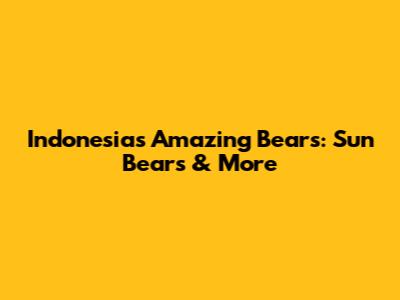 Indonesia's Amazing Bears: Sun Bears & More