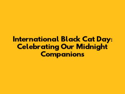 International Black Cat Day: Celebrating Our Midnight Companions