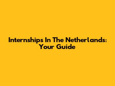 Internships In The Netherlands: Your Guide