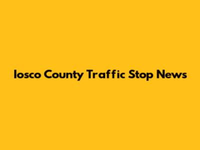Iosco County Traffic Stop News