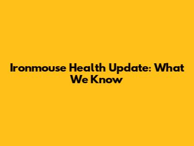 Ironmouse Health Update: What We Know