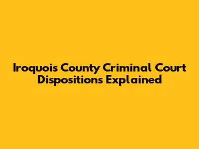 Iroquois County Criminal Court Dispositions Explained