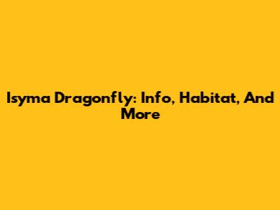 Isyma Dragonfly: Info, Habitat, And More