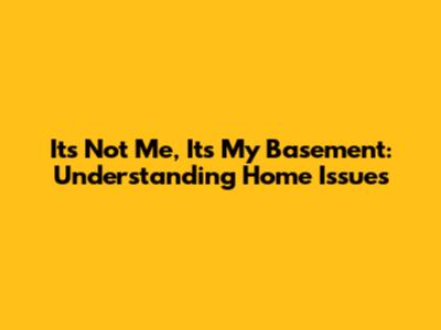 It's Not Me, It's My Basement: Understanding Home Issues