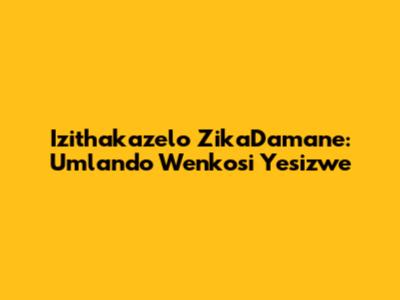 Izithakazelo ZikaDamane: Umlando Wenkosi Yesizwe