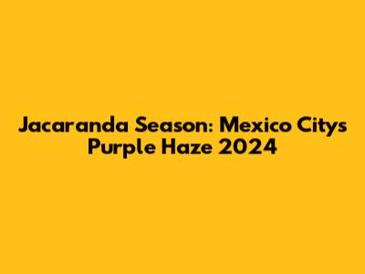 Jacaranda Season: Mexico City's Purple Haze 2024