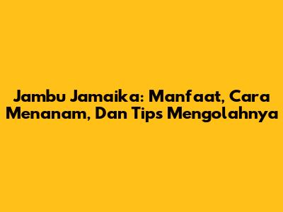 Jambu Jamaika: Manfaat, Cara Menanam, Dan Tips Mengolahnya