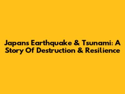 Japan's Earthquake & Tsunami: A Story Of Destruction & Resilience