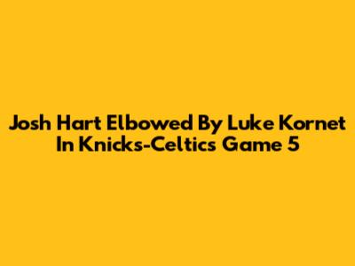 Josh Hart Elbowed By Luke Kornet In Knicks-Celtics Game 5