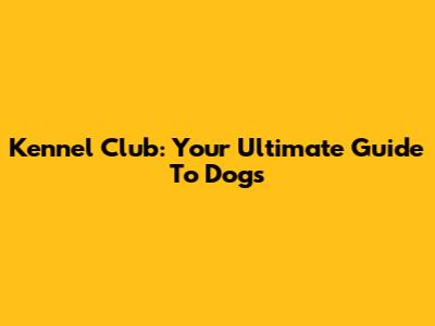 Kennel Club: Your Ultimate Guide To Dogs