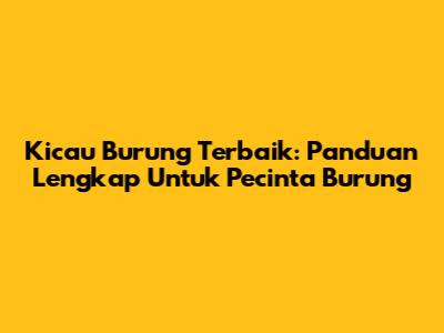 Kicau Burung Terbaik: Panduan Lengkap Untuk Pecinta Burung