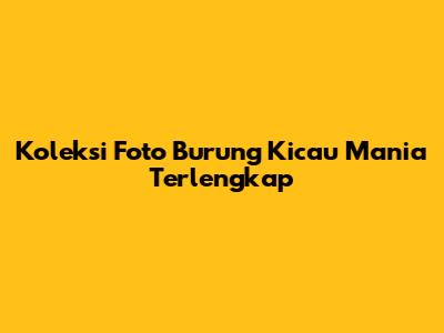 Koleksi Foto Burung Kicau Mania Terlengkap