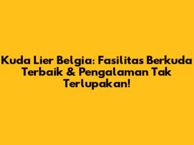 Kuda Lier Belgia: Fasilitas Berkuda Terbaik & Pengalaman Tak Terlupakan!