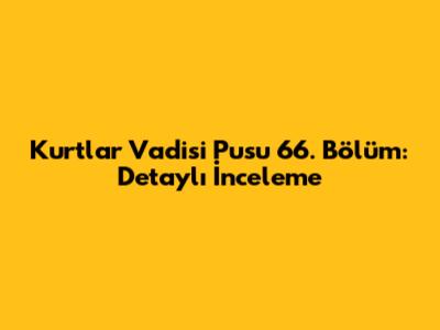 Kurtlar Vadisi Pusu 66. Bölüm: Detaylı İnceleme