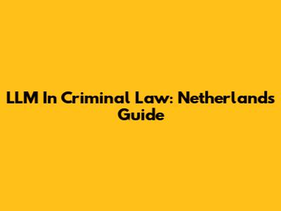 LLM In Criminal Law: Netherlands Guide