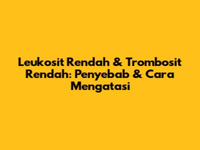 Leukosit Rendah & Trombosit Rendah: Penyebab & Cara Mengatasi