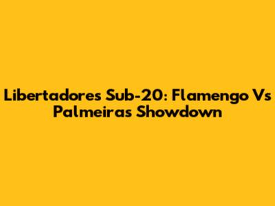 Libertadores Sub-20: Flamengo Vs Palmeiras Showdown