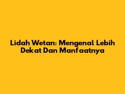 Lidah Wetan: Mengenal Lebih Dekat Dan Manfaatnya