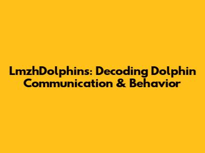 LmzhDolphins: Decoding Dolphin Communication & Behavior