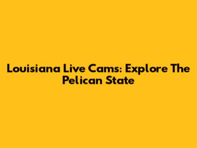 Louisiana Live Cams: Explore The Pelican State